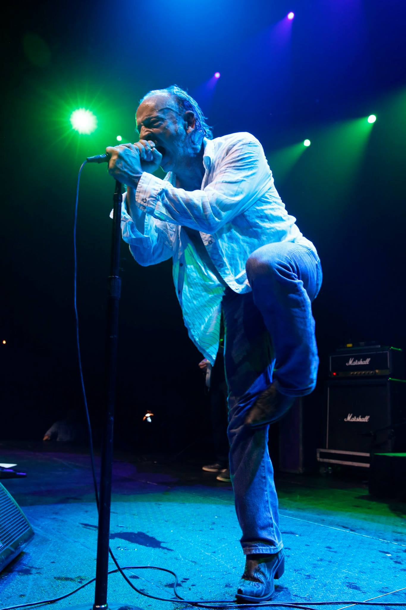 The Jesus Lizard